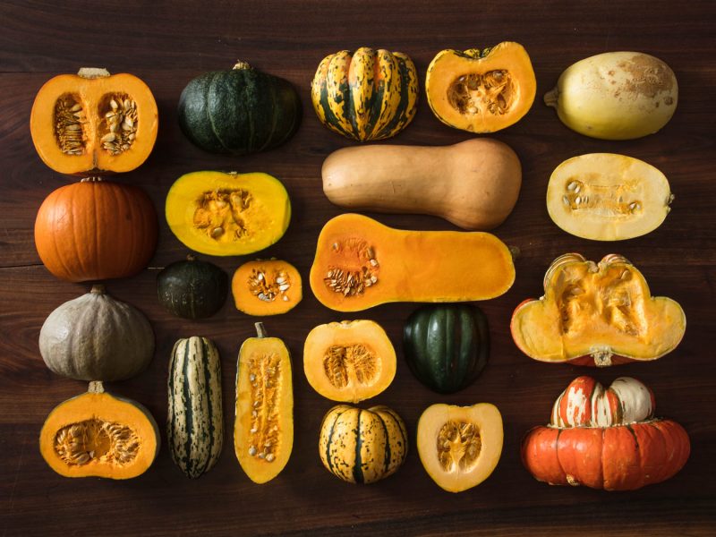 Winter Squash Guide